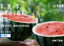 娱乐吃瓜常用文案,明星们的幕后故事与八卦风云
