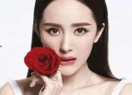 明星怎么看网红,跨界融合与影响力解读