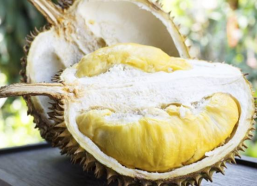 娱乐吃瓜酱200块榴莲,200元榴莲背后的娱乐圈吃瓜大揭秘