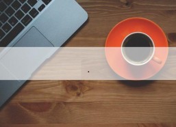 哥要搞中文娱乐网