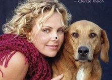 明星保护动物,明星与他们的爱心保护动物行动