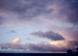 高霞光个人资料,艺术与人生的璀璨之光