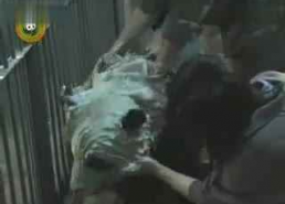 娱乐搞笑吃瓜视频合集