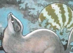 娱乐吃瓜猹,揭秘“吃瓜猹”背后的故事