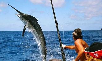 娱乐吃瓜钓鱼视频大全