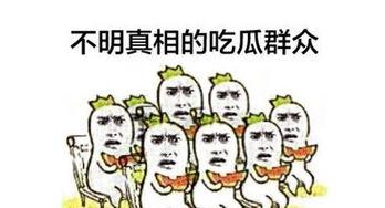 吃瓜群众娱乐大百科,揭秘娱乐圈幕后故事与热点事件